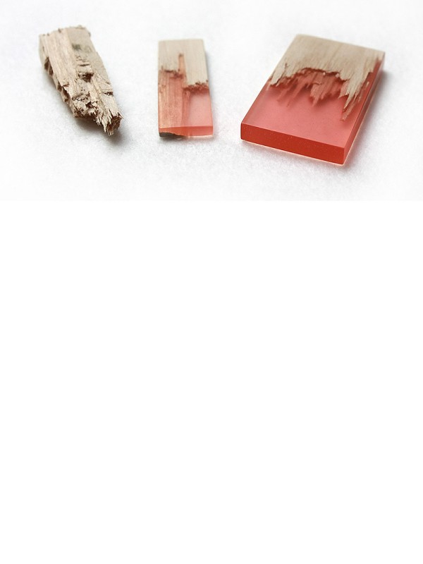 VIWOOD Zalivna masa za izdelavo kompozitov lesa in plastike 200 100 g