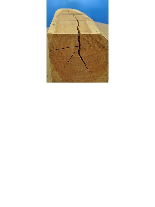 VIWOOD zalivna masa za izdelavo leseno - plastičnih kompozitov 1000 500 g