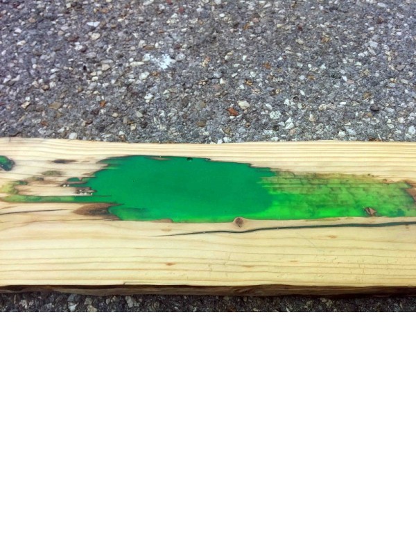 VIWOOD Zalivna masa za izdelavo kompozitov lesa in plastike 200 100 g